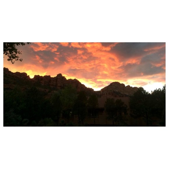 Meet your Posher, StylishDaisy - Picture 4 of 5